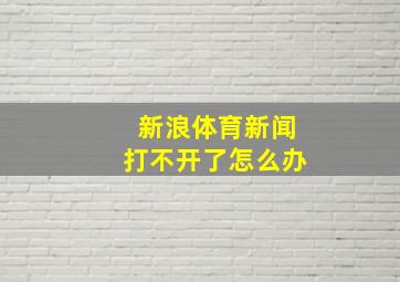 新浪体育新闻打不开了怎么办