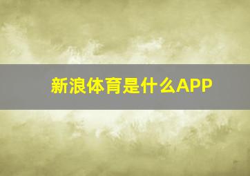 新浪体育是什么APP