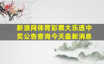 新浪网体育彩票大乐透中奖公告查询今天最新消息