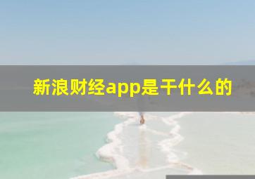 新浪财经app是干什么的