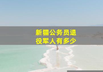 新疆公务员退役军人有多少