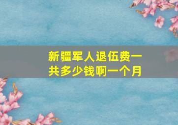 新疆军人退伍费一共多少钱啊一个月