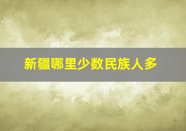 新疆哪里少数民族人多