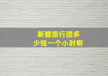 新疆旅行团多少钱一个小时啊