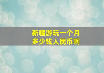 新疆游玩一个月多少钱人民币啊