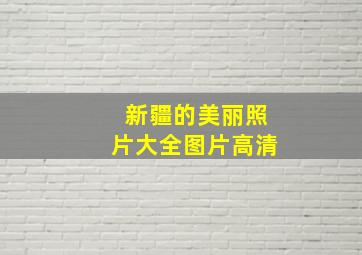 新疆的美丽照片大全图片高清