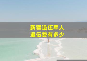 新疆退伍军人退伍费有多少