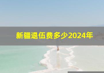 新疆退伍费多少2024年