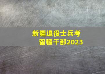 新疆退役士兵考留疆干部2023