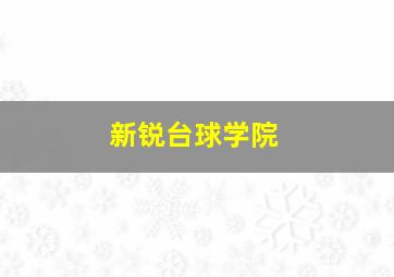 新锐台球学院