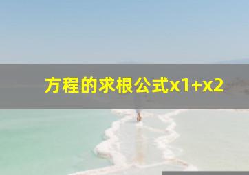 方程的求根公式x1+x2