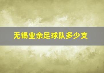 无锡业余足球队多少支