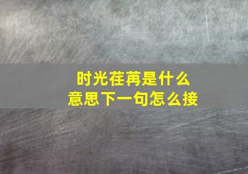 时光荏苒是什么意思下一句怎么接