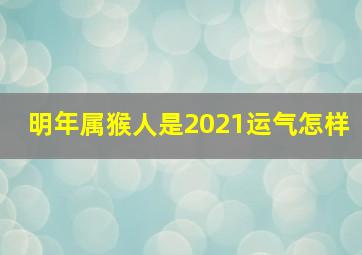 明年属猴人是2021运气怎样