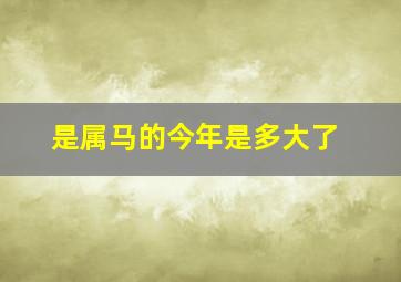 是属马的今年是多大了