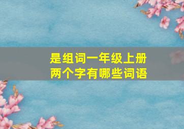 是组词一年级上册两个字有哪些词语