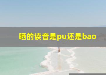 晒的读音是pu还是bao