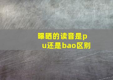 曝晒的读音是pu还是bao区别