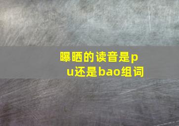 曝晒的读音是pu还是bao组词