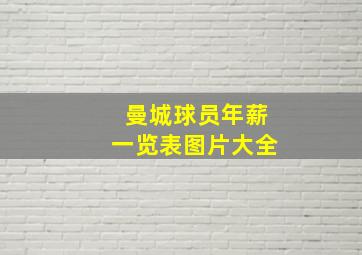 曼城球员年薪一览表图片大全