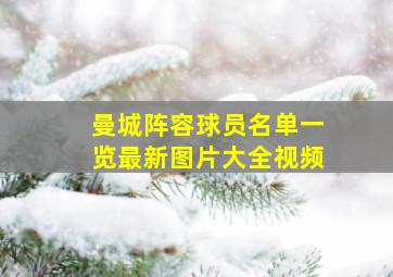 曼城阵容球员名单一览最新图片大全视频