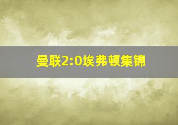 曼联2:0埃弗顿集锦