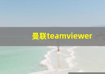 曼联teamviewer