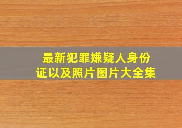 最新犯罪嫌疑人身份证以及照片图片大全集