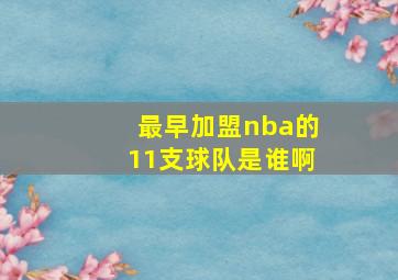 最早加盟nba的11支球队是谁啊