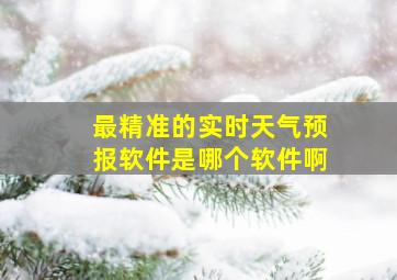 最精准的实时天气预报软件是哪个软件啊