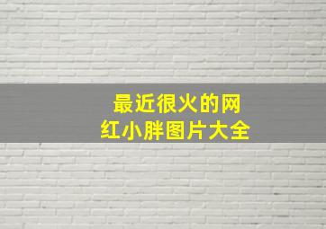 最近很火的网红小胖图片大全