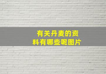 有关丹麦的资料有哪些呢图片