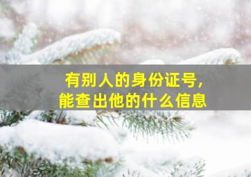 有别人的身份证号,能查出他的什么信息