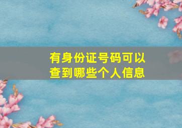 有身份证号码可以查到哪些个人信息