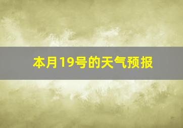 本月19号的天气预报