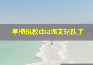 李楠执教cba哪支球队了