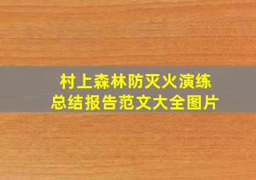 村上森林防灭火演练总结报告范文大全图片