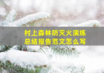 村上森林防灭火演练总结报告范文怎么写