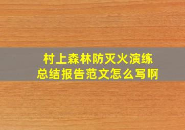 村上森林防灭火演练总结报告范文怎么写啊