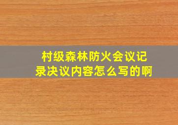 村级森林防火会议记录决议内容怎么写的啊