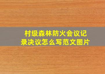 村级森林防火会议记录决议怎么写范文图片