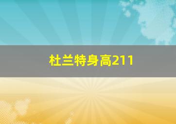 杜兰特身高211