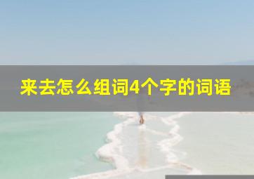 来去怎么组词4个字的词语