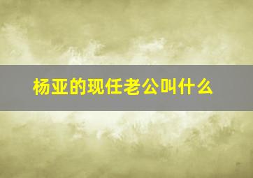 杨亚的现任老公叫什么