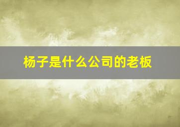 杨子是什么公司的老板