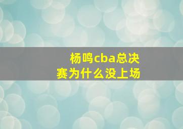 杨鸣cba总决赛为什么没上场