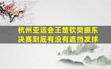 杭州亚运会王楚钦樊振东决赛到底有没有遮挡发球