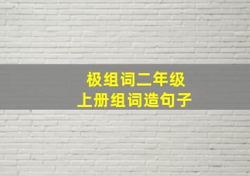 极组词二年级上册组词造句子