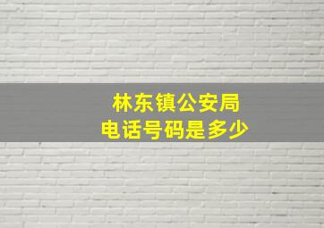 林东镇公安局电话号码是多少