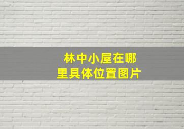 林中小屋在哪里具体位置图片